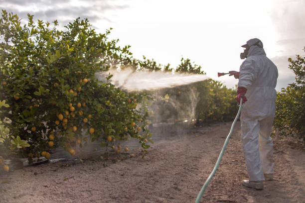 Best Best Pest Control Companies  in Gardena, CA