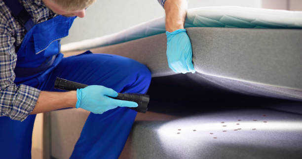 Best Bed Bug Extermination  in Gardena, CA