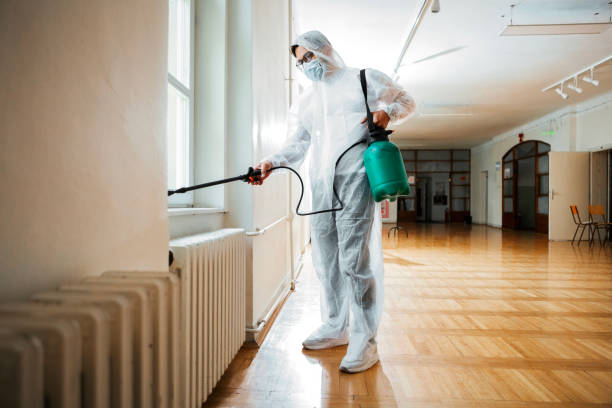 Best Local Pest Control Services  in Gardena, CA